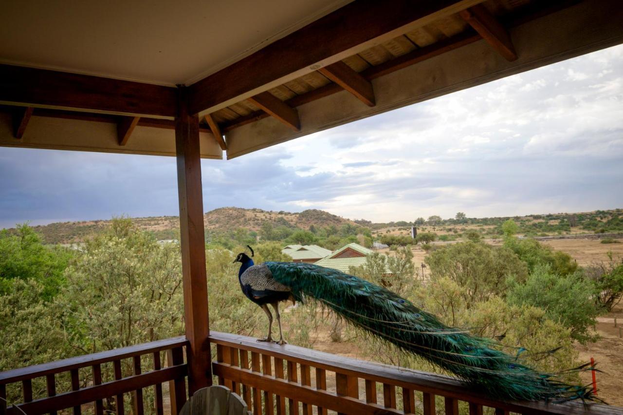 Sangiro Game Lodge Bloemfontein